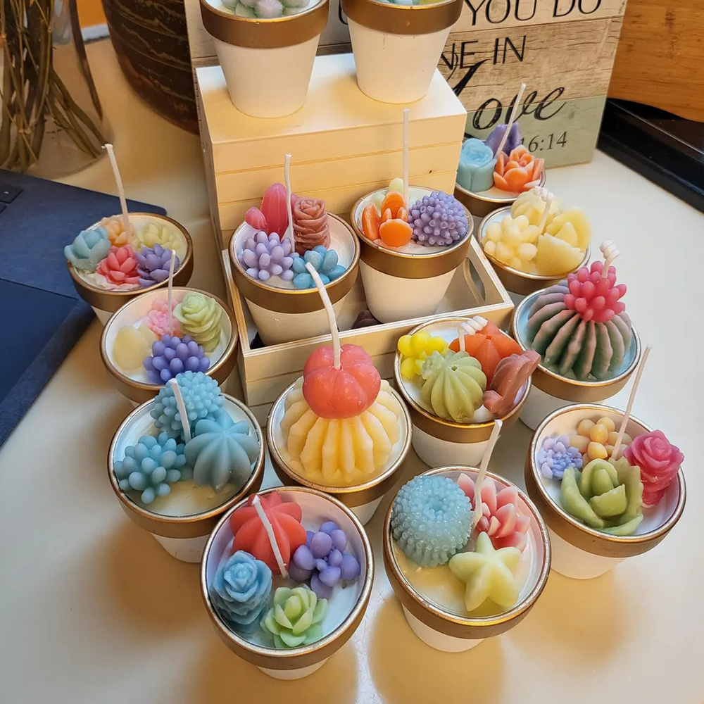 6個の多肉植物シリコンキャンドルモールド 3D多肉植物サボテ - Candle Making Reno のレビューと価格